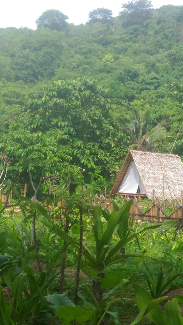 Plumeria Eco-Resort エルニド 部屋 写真